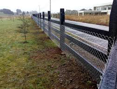 Descripción del Producto 